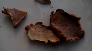 Золотой корень высох Растение готово дружить со всеми