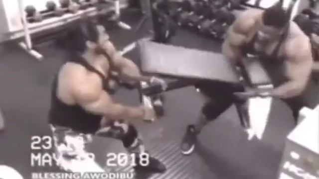 качки дерутся за скамью для жима и первый качок кинул во второго шейкер скамья для жима лавка gym смотреть онлайн