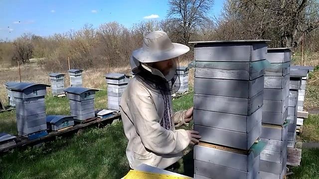 Двухматочное содержание в Альпийском улье. Одно из преимуществ Майский Мёд