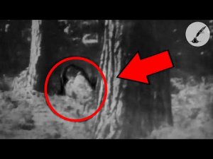 5 Creepy Paranormal Encounters in the Woods