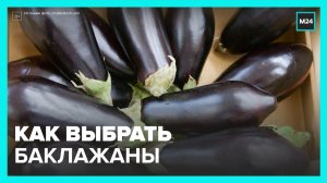 Эксперты рассказали, как выбрать баклажаны - Москва 24