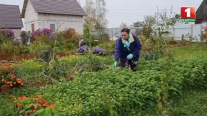 как подготовить грядки к зиме