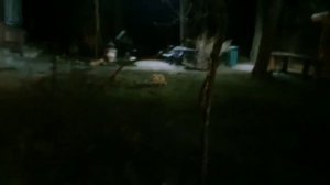 ЛИ СЯО. Алиса - Лиса. Боевой Батон