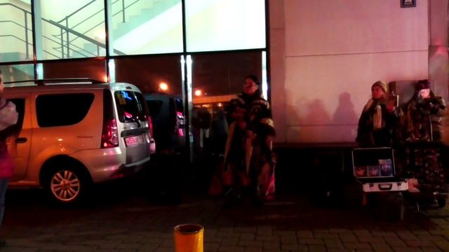 Зрители зажгли под флейту индейца из Эквадора в Петербурге! смотреть онлайн