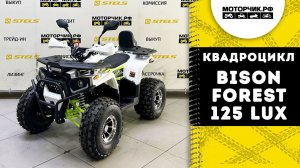 Квадроцикл Bison Forest 125 Lux