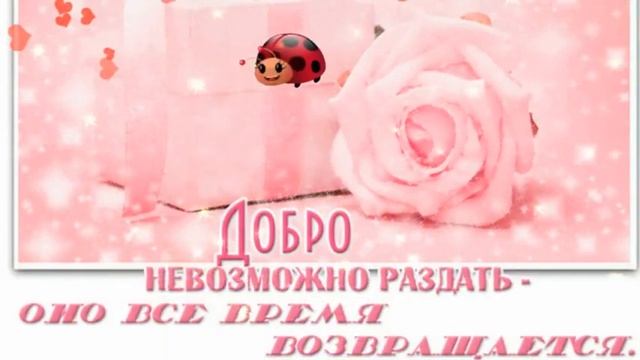 днём доброты праздник 13 ноября 2022 года смотреть онлайн