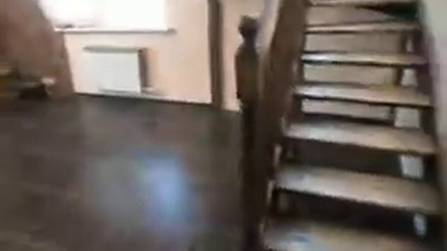 Сосна стандарт цвет Венге. смотреть онлайн