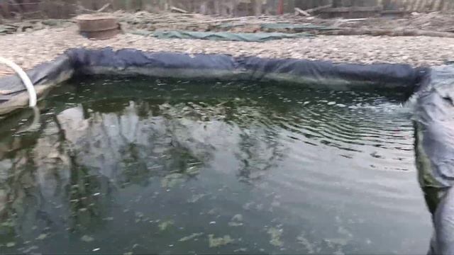 4-5 день, очистка пруда, фильтр для воды, фильтр для пруда, песочный фильтр