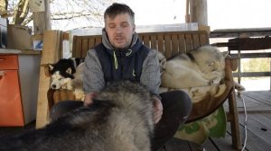 #Эпилепсия у Хаски. Личный опыт, как вы глядит приступ у собаки, как помочь при эпилепсии