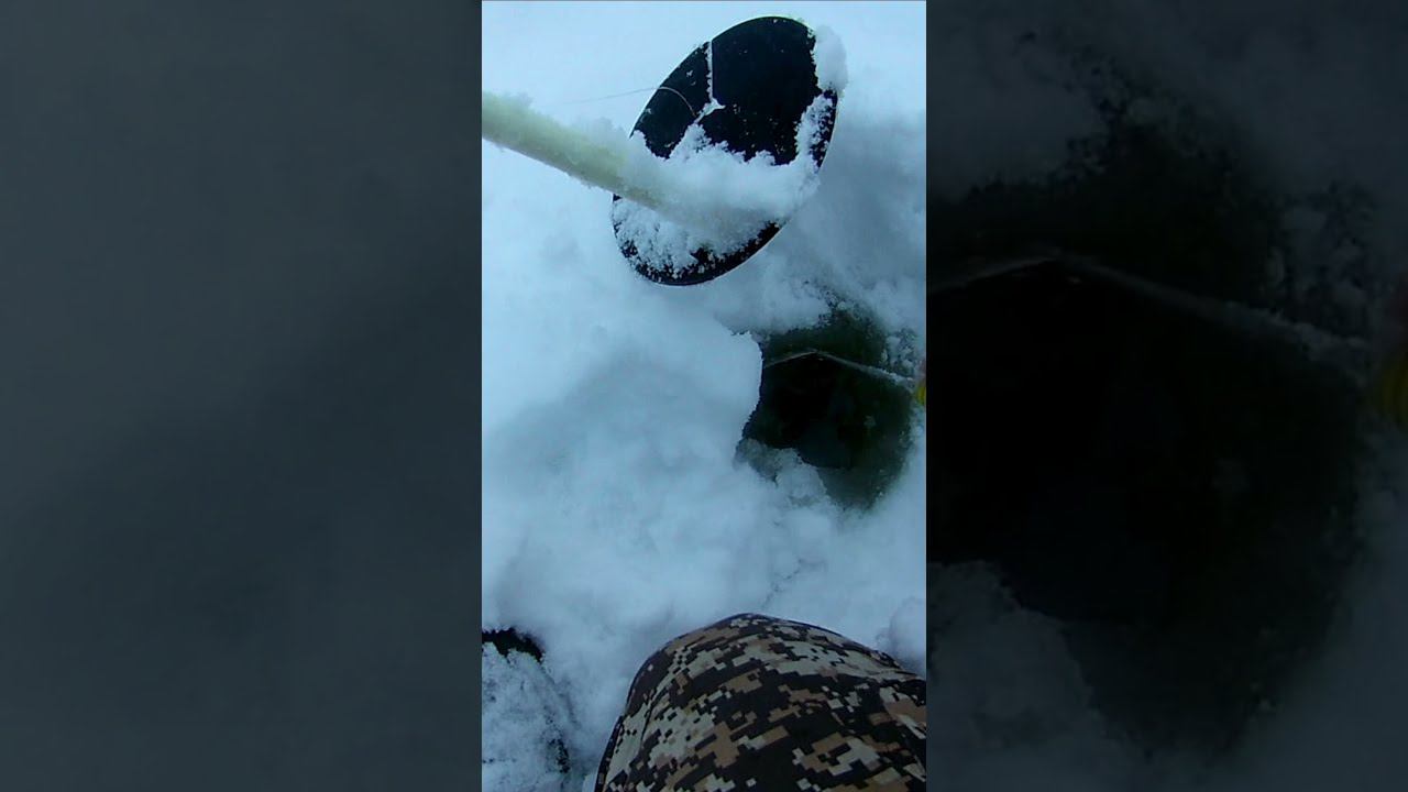 СРАБОТАЛА ЖЕРЛИЦА ОСТАВЛЕННАЯ НА НОЧЬ смотреть онлайн