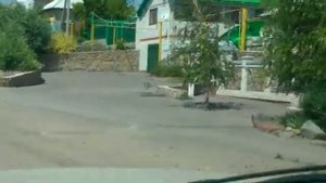Дерезовка