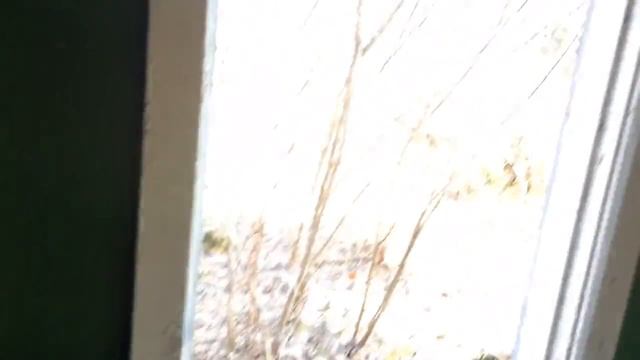 Заброшенные пионерские лагеря смотреть онлайн