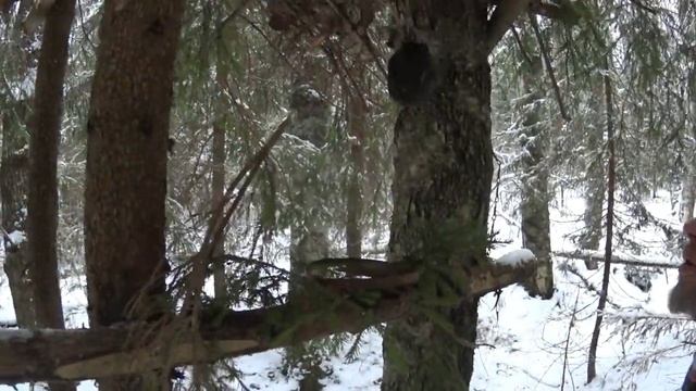 Изба гномов смотреть онлайн