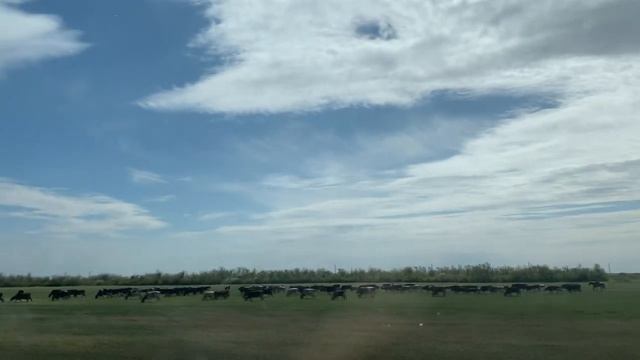 Где привиться иностранной вакциной? (Pfizer) смотреть онлайн