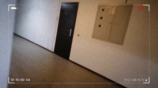 ОН ЖИВЁТ В ТВОЁМ ПОДЪЕЗДЕ! УЖАС! ЧИНАЗЕС