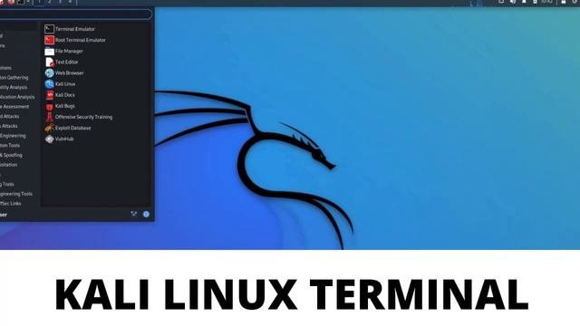 Run Kali Linux Directly In Your Web Browser