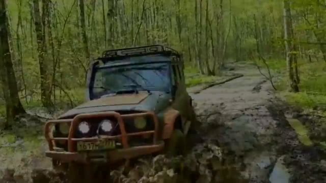 Вяземские сады