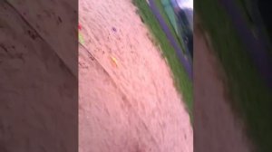 Девочка обнимает Софию!