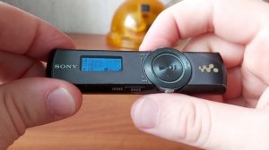 Sony NWZ-B173F review