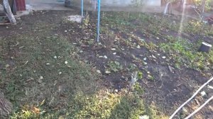 Кубань ? Ураган - ветер оставил нас без света и воды ?Вроде котик Про рекламу?