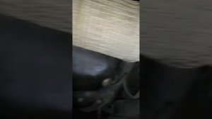 течь масло шкода ети