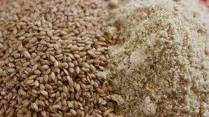 Мука из семян льна
