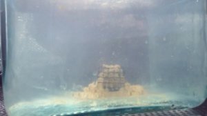 Микс прикормок "Дунаев премиум лещ" + "Дунаев премиум крупный лещ"