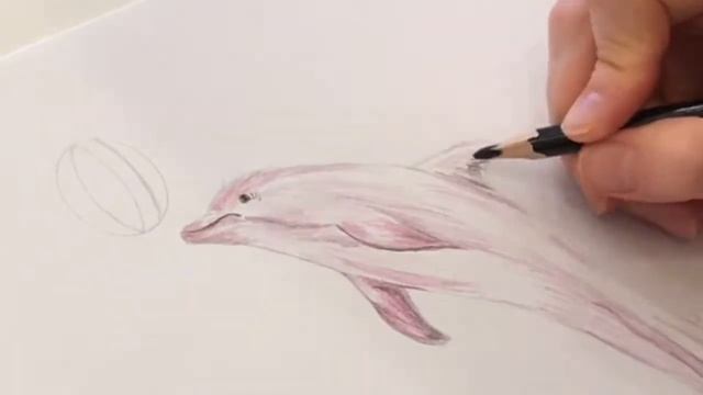 Как нарисовать дельфина.Цветными карандашами.Простые рисунки для начинающих.Пошагово.Арт-релаксация смотреть онлайн