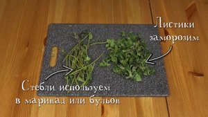 Орегано заготовка