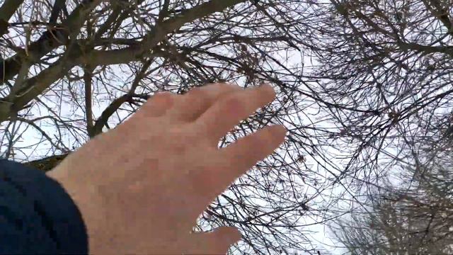 СТАРОБЕЛЬСК - зимний парк