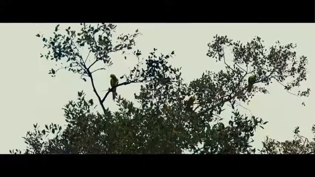 Новый триллер - Магия, магия. К чему приводит бессонница... смотреть онлайн