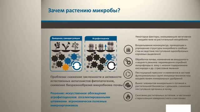 Экстрасол в Казахстане 2019 смотреть онлайн