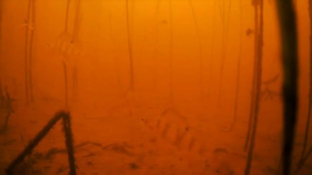 Поведение окуня под первым льдом - Болен Рыбалкой №315 смотреть онлайн