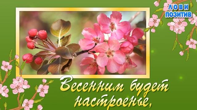 Поздравление с Днем Рождения в Марте. Видео Открытки с Днем Рождения