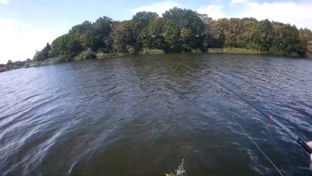 Какой цвет воблера работает летом по мутной воде.Ловля щуки летом смотреть онлайн