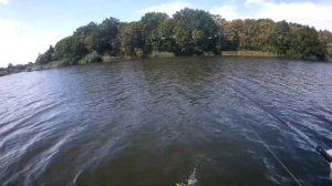 Какой цвет воблера работает летом по мутной воде.Ловля щуки летом