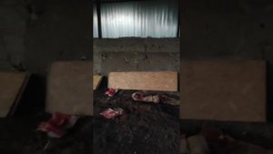 Строительство Ангара своими руками самый дешевый вариант