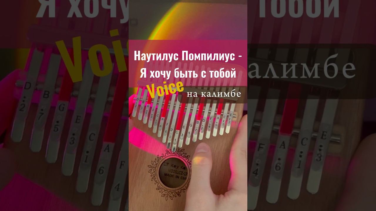 Наутилус Помпилиус - Я хочу быть с тобой ЗАКАЗАТЬ КАЛИМБУ - В ОПИСАНИИ  #калимба #кавер #аккорды смотреть онлайн