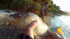 Рыбалка для души в Семикаракорске(Семаки). Рыбалка и отдых на природе. Безумные действия сазана!