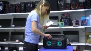 Колонка  портативная Ritmix SP-610B