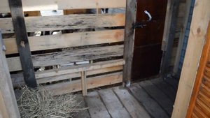 Сарай для коз (летний).