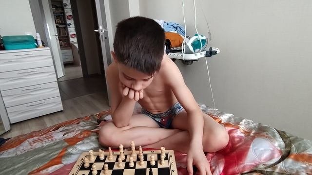 Шахматы