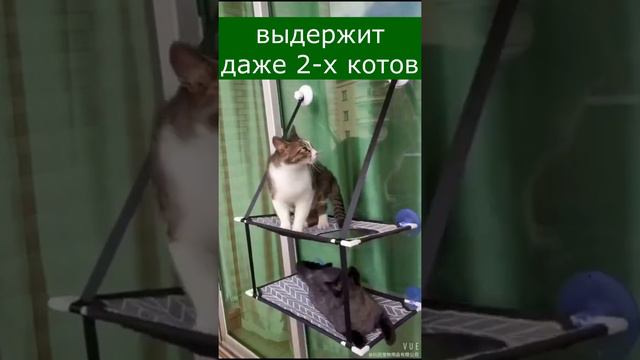 Гамак для кошек на окно двойной
