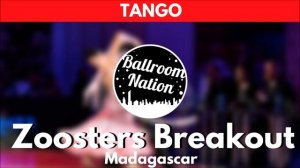 TANGO music | Zoosters Breakout (Madagascar)