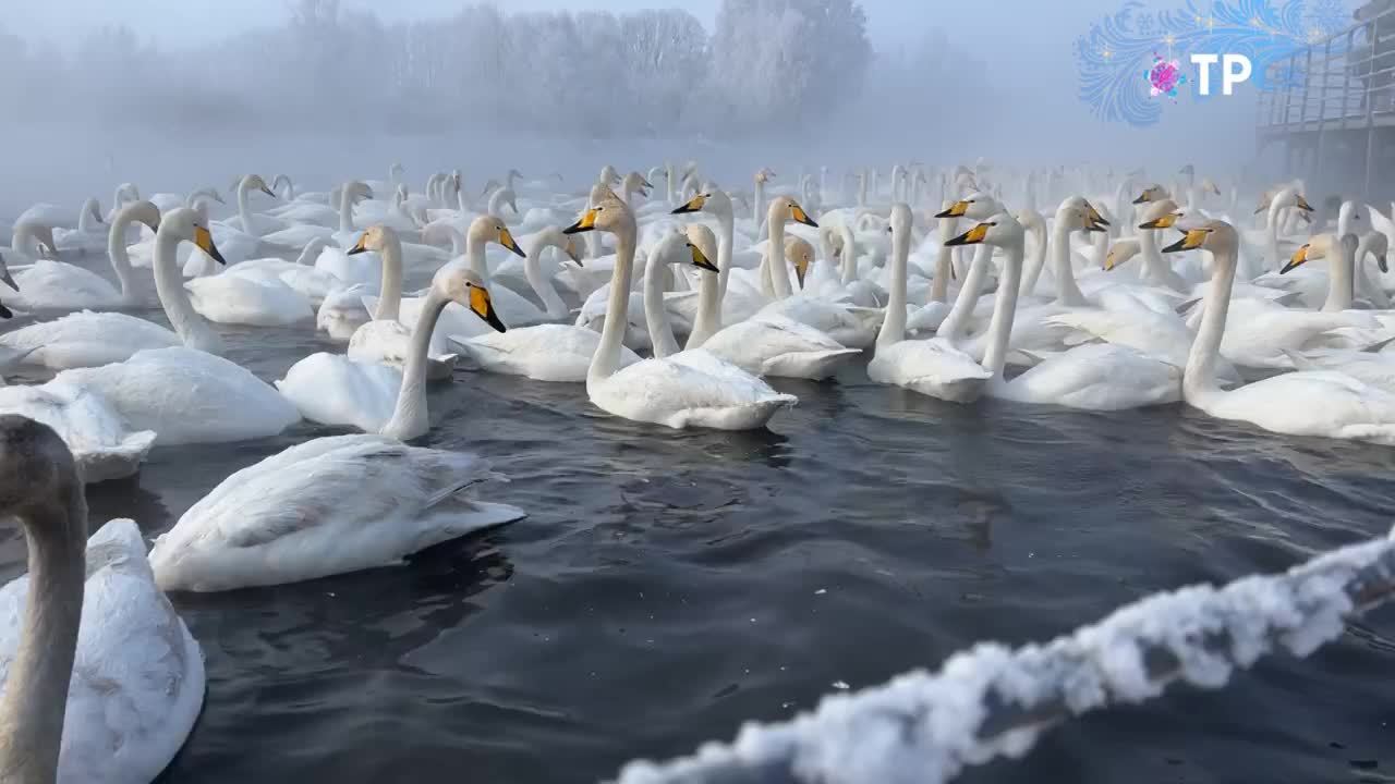 Путешествуем зимой