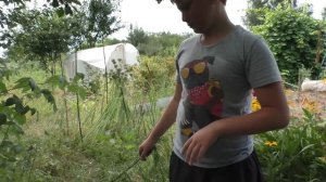 Пошёл в огород И НАШЁЛ ХРЕНОВИНУ! Огородная жизнь! УРОЖАЙ!!!.mp4