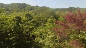 2021.05.14.Абхазия.поезд Москва Сухум.район Пицунды