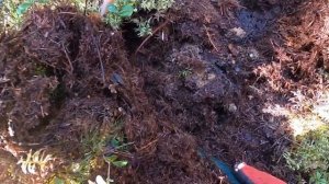 Карелия коп лето 2023  Чать 6