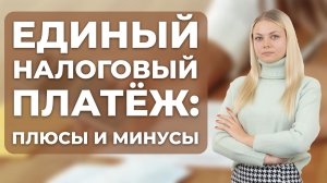Единый налоговый платёж для ИП и юридических лиц: плюсы и минусы
