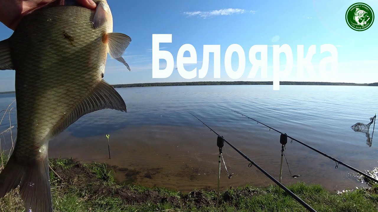 РЫБАЛКА НА БЕЛОЯРСКОМ ВОДОЁМЕ С НОЧЕВКОЙ, НА ВЁСЛАХ ДО МЕСТА ЛОВА, БАЙКИ У КОСТРА, КУХНЯ НА БЕРЕГУ!